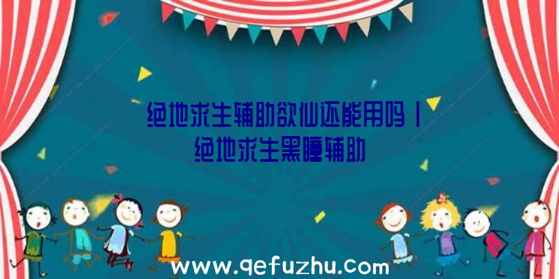「绝地求生辅助欲仙还能用吗」|绝地求生黑瞳辅助